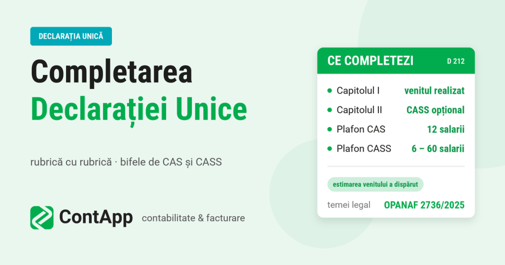 Declarația Unică: instrucțiuni de completare și greșelile frecvente