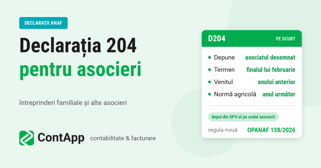 Completare si depunere declaratia 204.