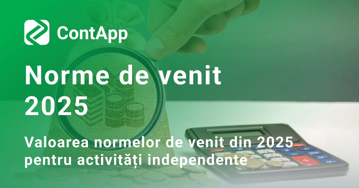 Norme de venit 2025