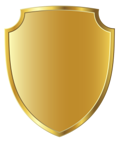 665571c45b915 SecureShield 243x300 1 665571c45b915 SecureShield 243x300 1